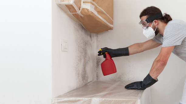 Professional Mold Remediation technician working in Mackinaw City, MI