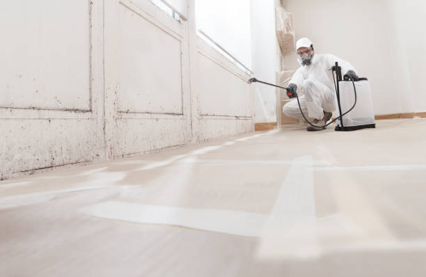 24/7 Emergency Mold Remediation experts in Mackinaw City, MI